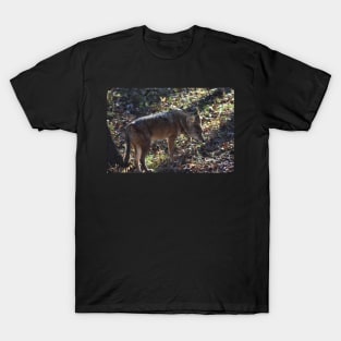 Coyote T-Shirt